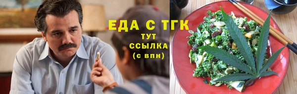 шишки Магас