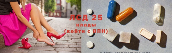 шишки Магас