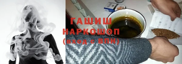 шишки Магас