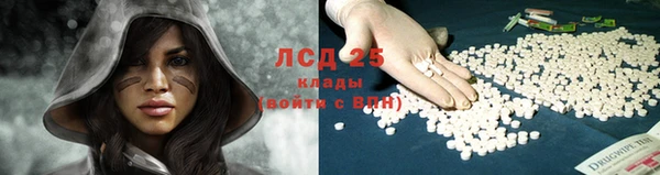 шишки Магас