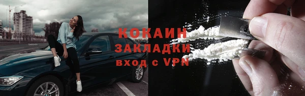 шишки Магас
