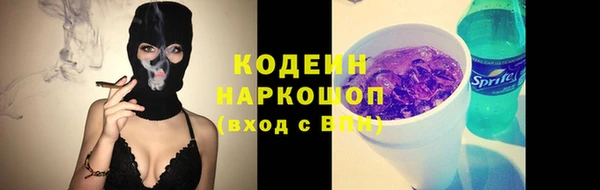 шишки Магас