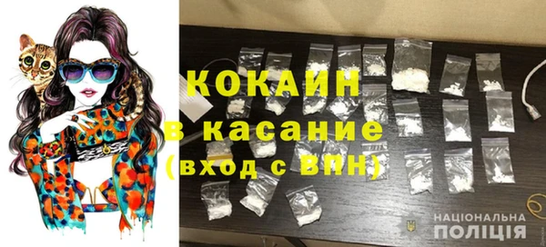 шишки Магас