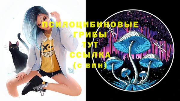 Альфа ПВП Магадан
