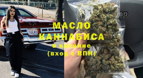 шишки Магас