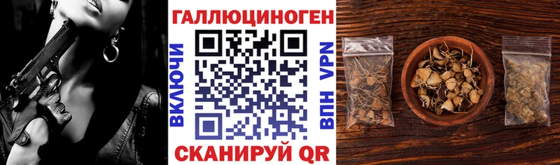 Галлюциногенные грибы Cubensis  Купить где  Киреевск 